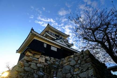 浜松城の風景画像