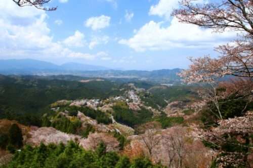 奈良県 吉野山の画像