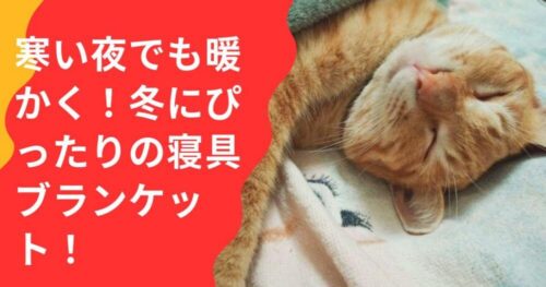 毛布で寝る猫