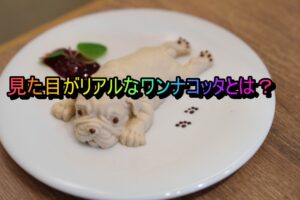 パンナコッタ