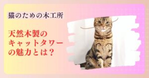 キャットタワーに登る猫