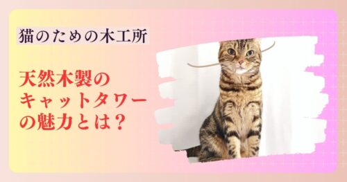キャットタワーに登る猫