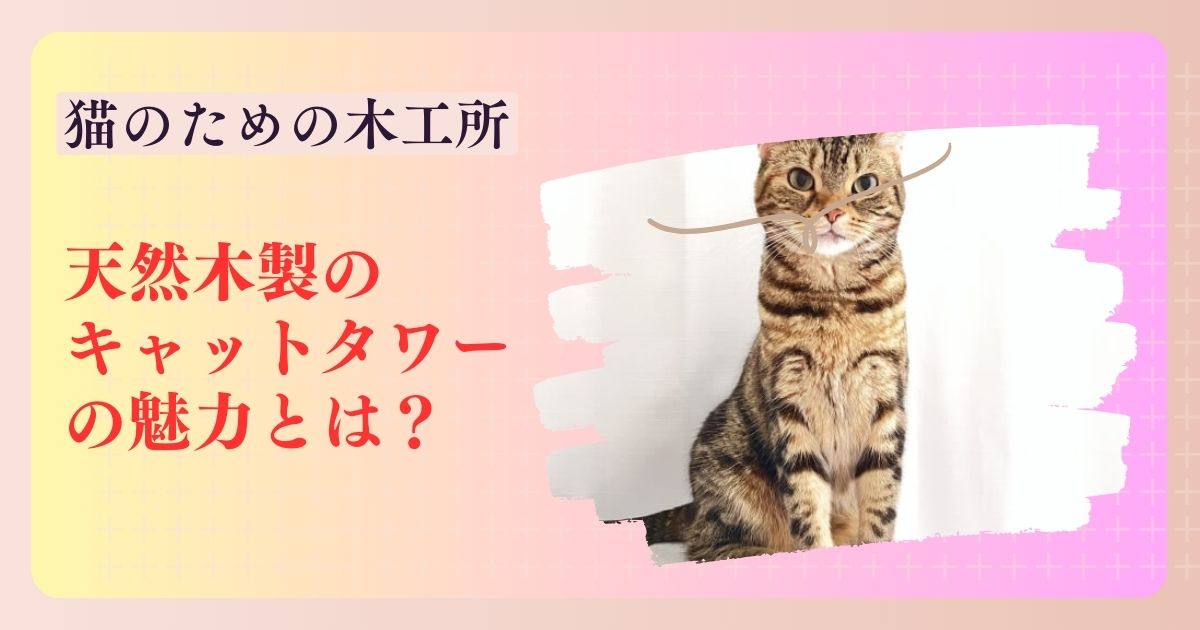 キャットタワーに登る猫