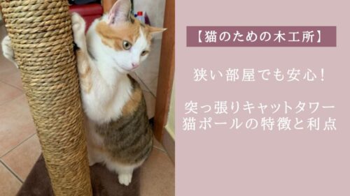 猫ポールタワー