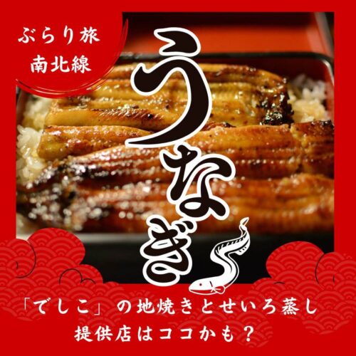 うなぎ 画像