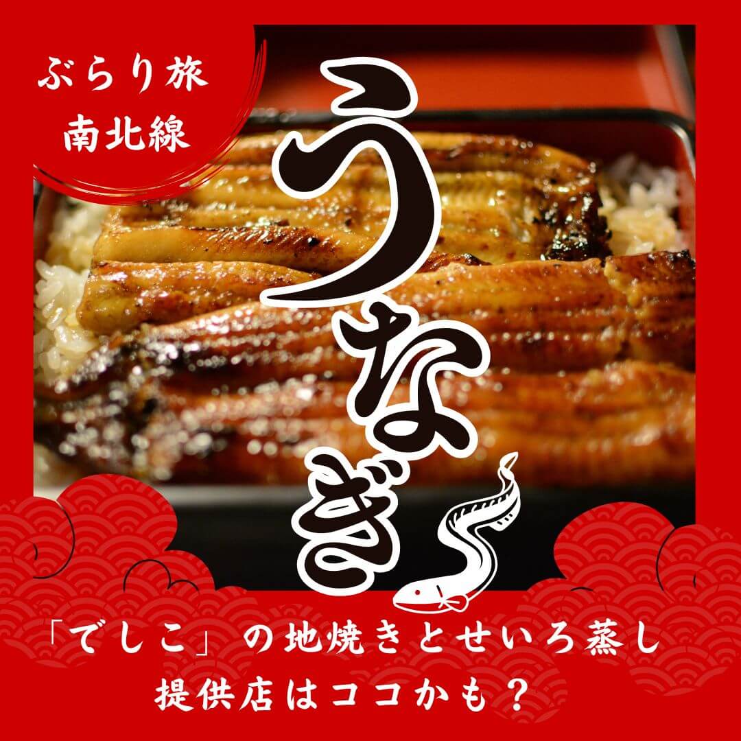 うなぎ 画像