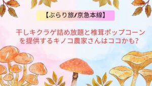 豊富なキノコ