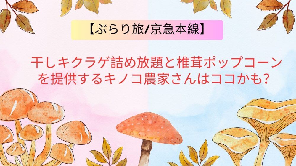 豊富なキノコ