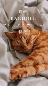寝る猫