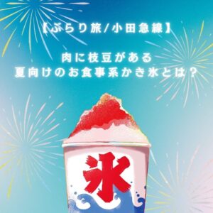 夏向けのお食事系かき氷