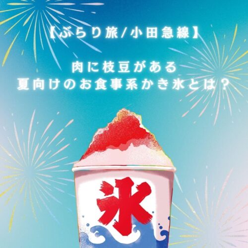夏向けのお食事系かき氷