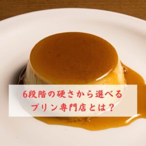 6種類プリン