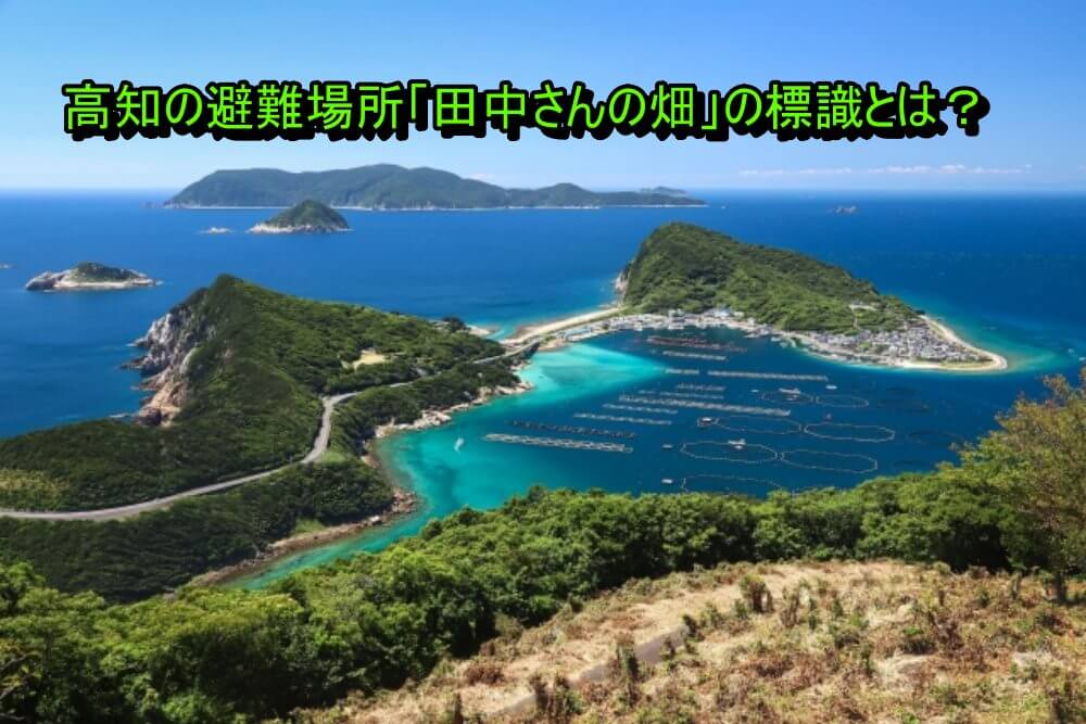 柏島
