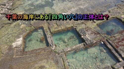 勝浦 生け簀