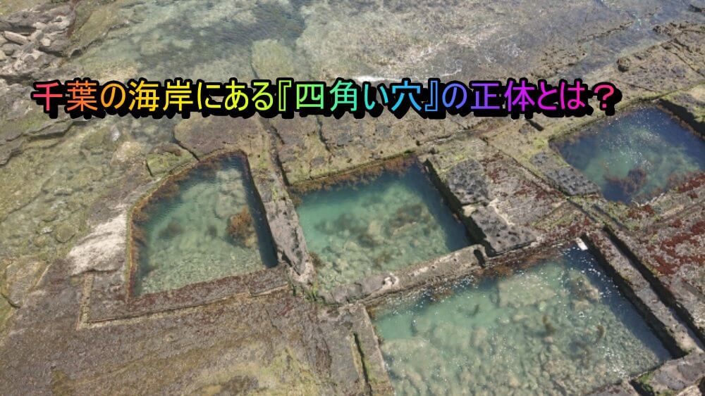 勝浦 生け簀