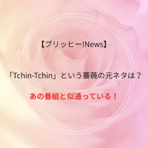 薔薇の元ネタ