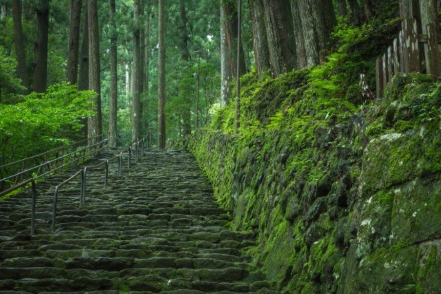 飛瀧神社 階段
