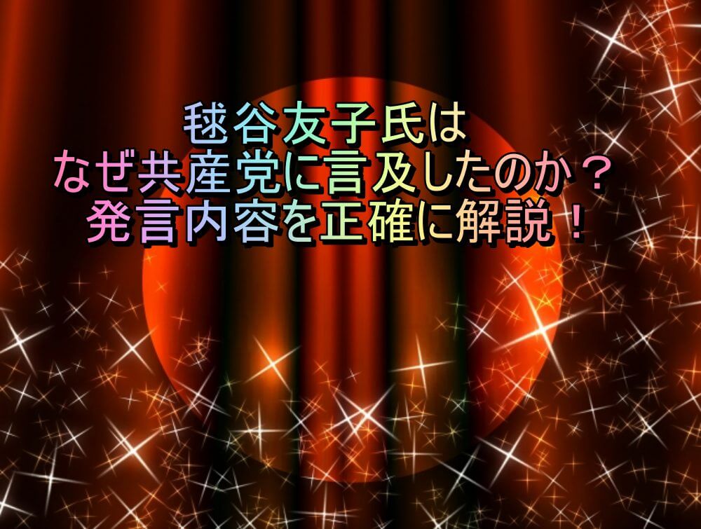 赤ゴージャスカーテンン