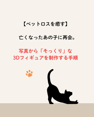 猫 肉球