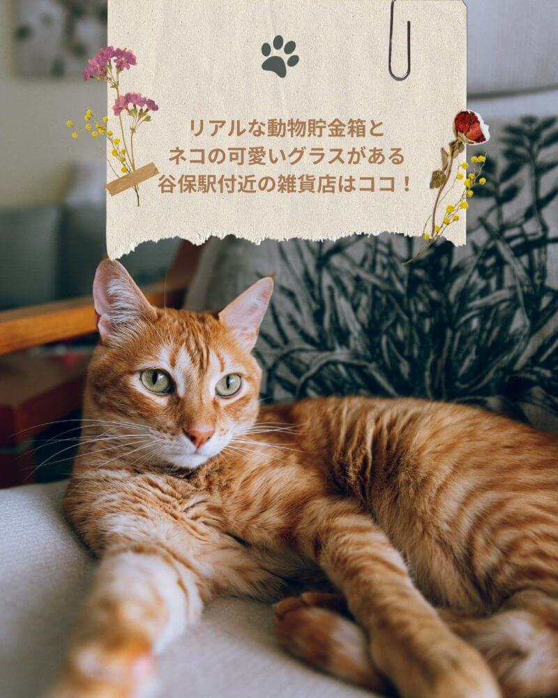 リラックス　猫