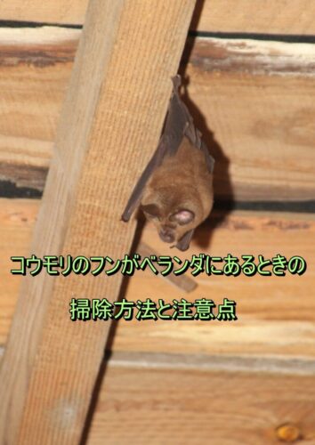 ぶら下がっているコウモリ2