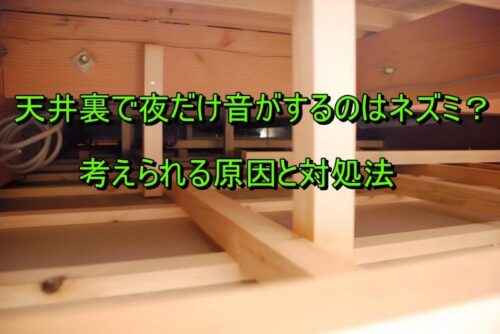 天井裏