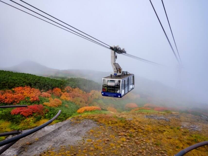 旭岳の紅葉