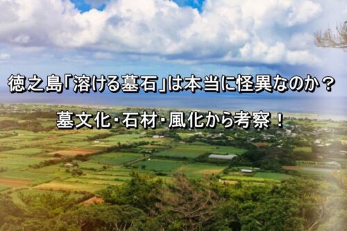 徳之島 上空2