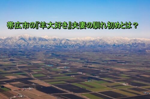十勝平野2