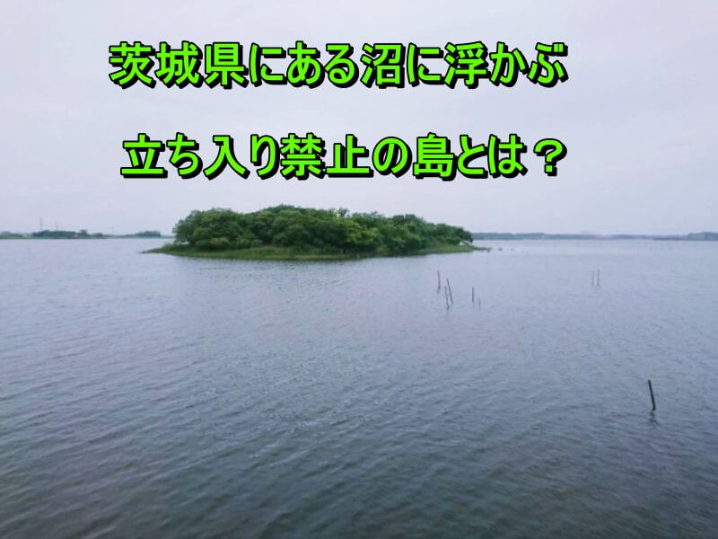 湖に浮かぶ島（中の島）